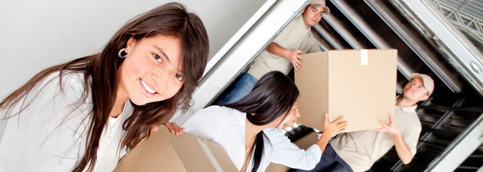 Professional Removalists Doctors Point